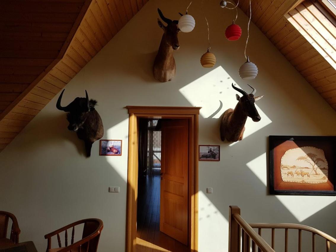 Apartamentai Hunter House ドルスキニンカイ エクステリア 写真