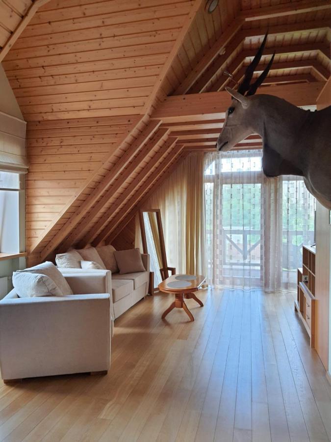 Apartamentai Hunter House ドルスキニンカイ エクステリア 写真