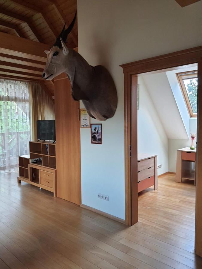 Apartamentai Hunter House ドルスキニンカイ エクステリア 写真