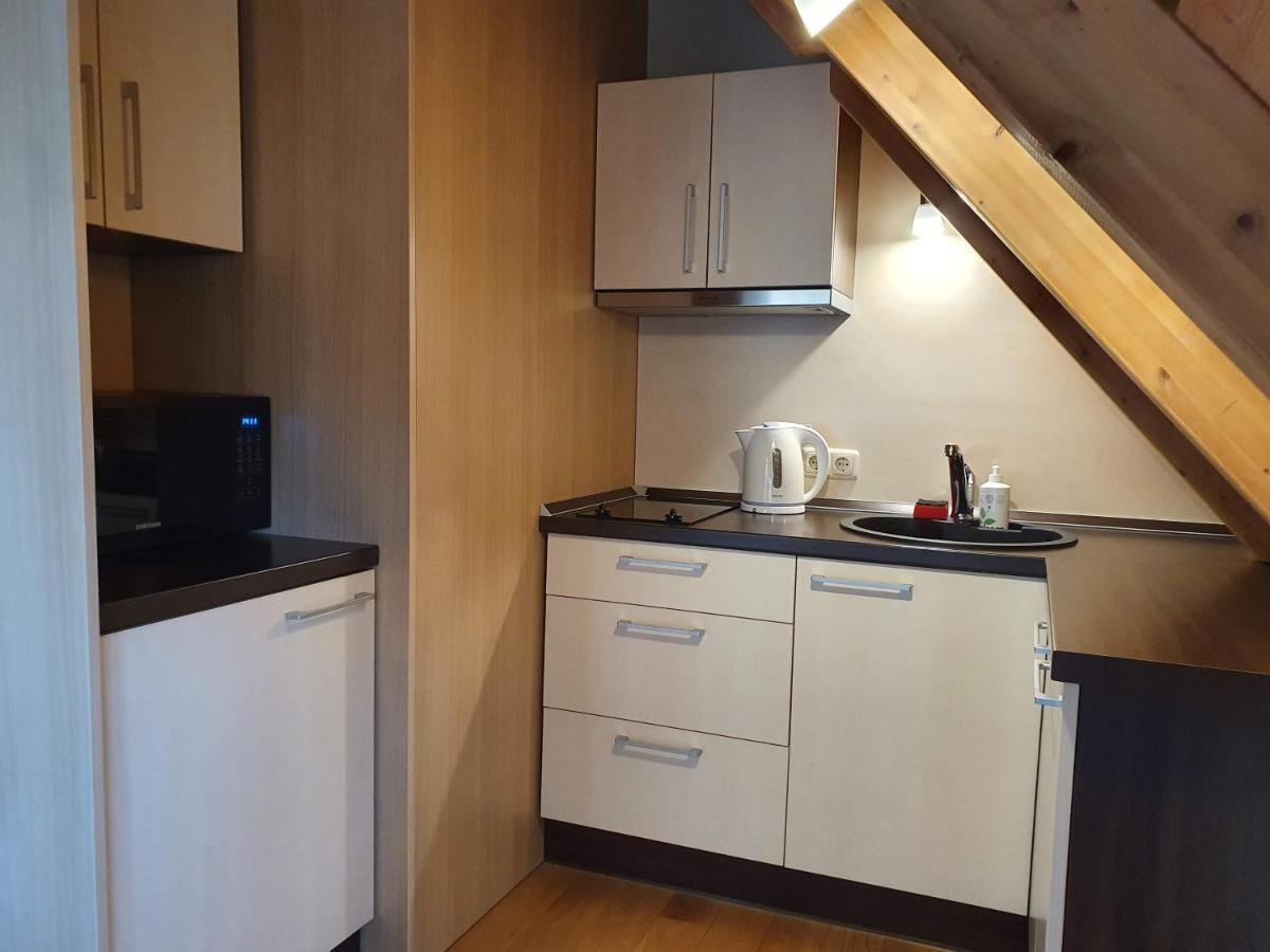 Apartamentai Hunter House ドルスキニンカイ エクステリア 写真
