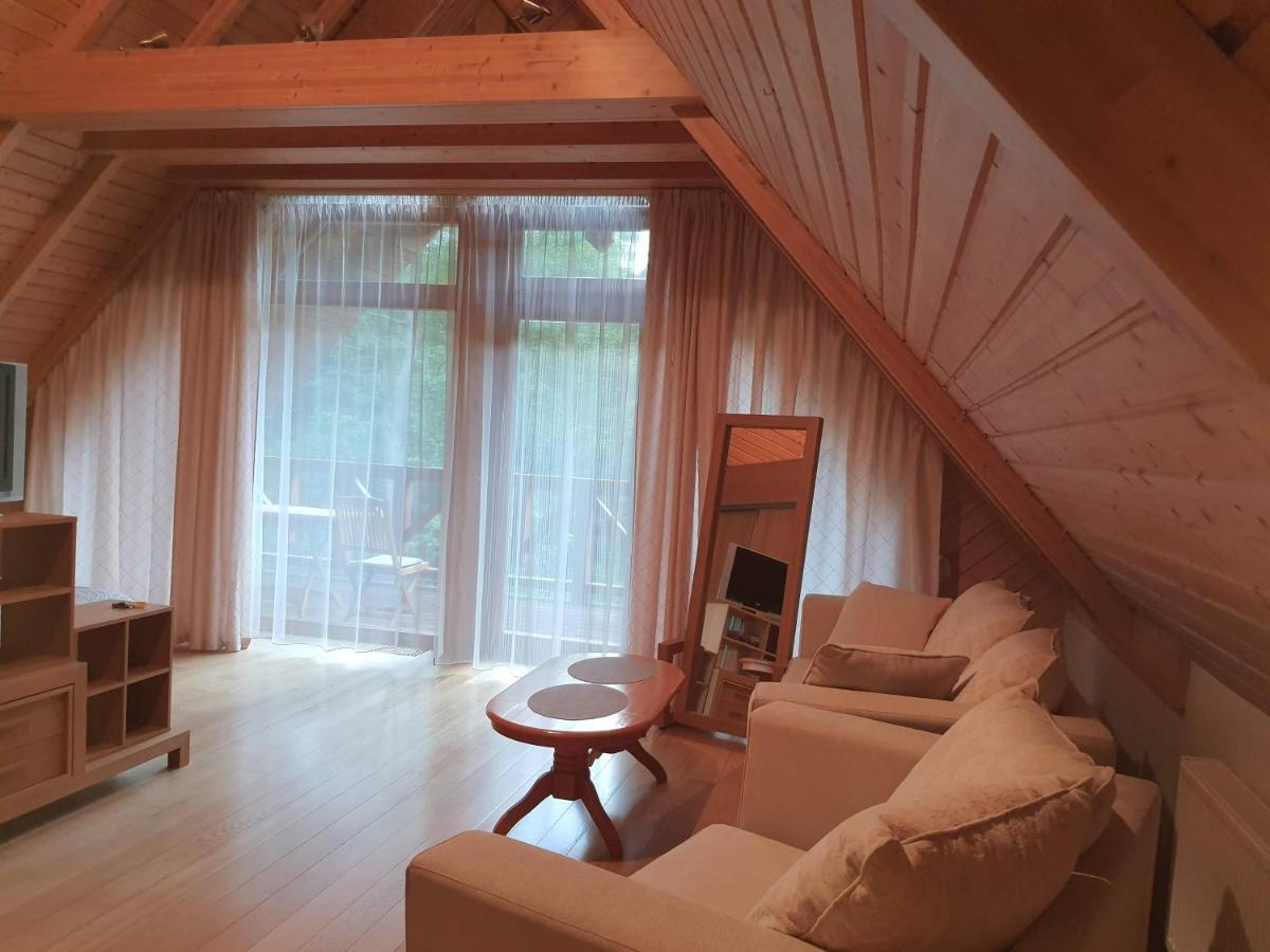 Apartamentai Hunter House ドルスキニンカイ エクステリア 写真